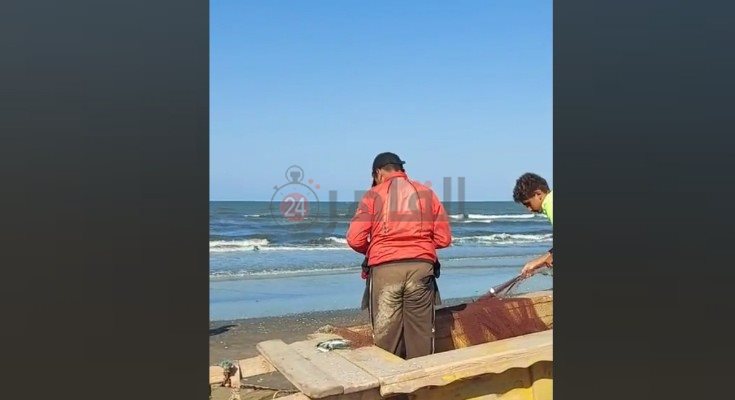 فصل الأسماك عن الشباك 