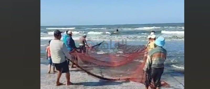 رحلة صيد السمك ببورسعيد