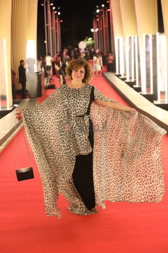 إلهام شاهين (2)