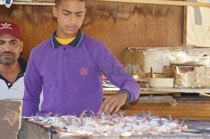طالب يعمل في شوي الأسماك ببورسعيد