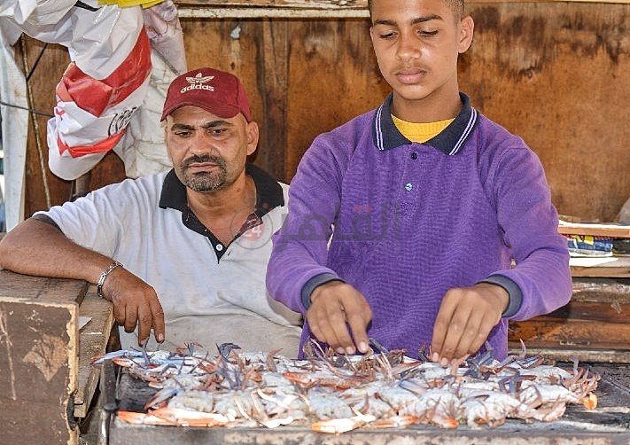 مصطفي يعمل في شوي الأسماك ببورسعيد