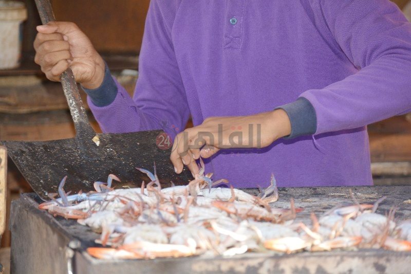 مصطفي فرج حمدان 