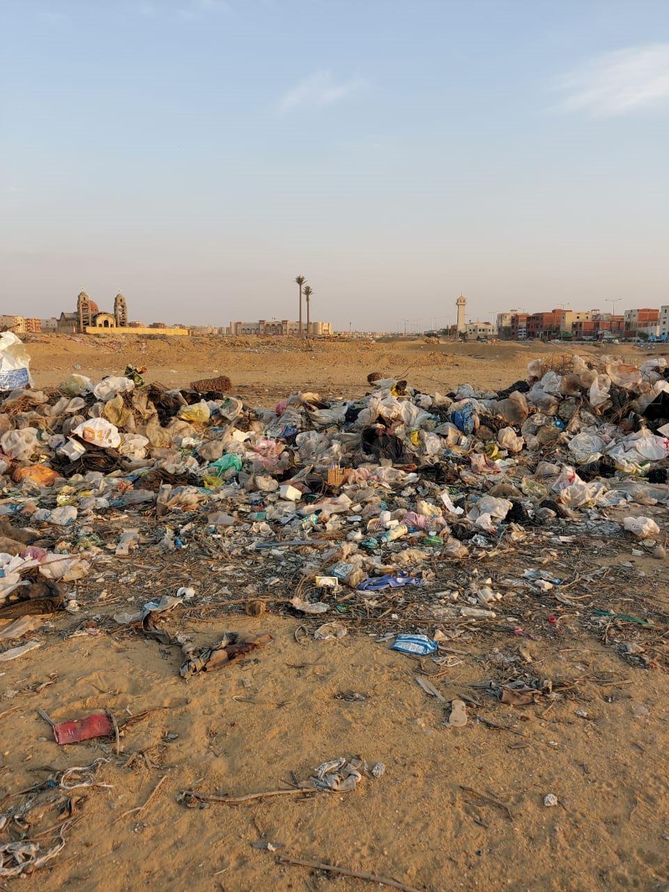 مكان العثور على بقايا الحمار بالعاشر من رمضان 02