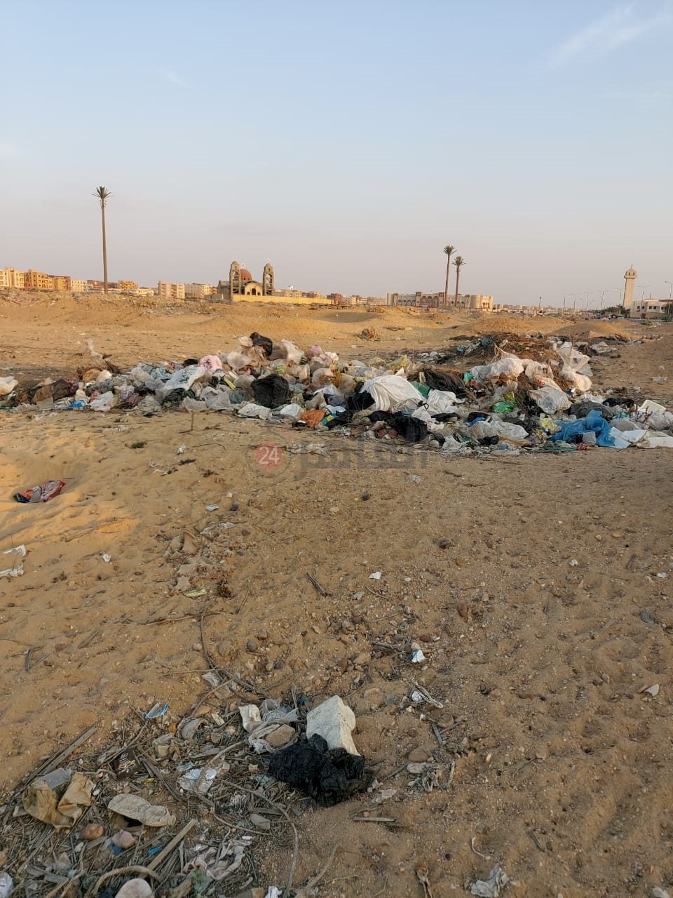 مكان العثور على بقايا الحمار بالعاشر من رمضان 06