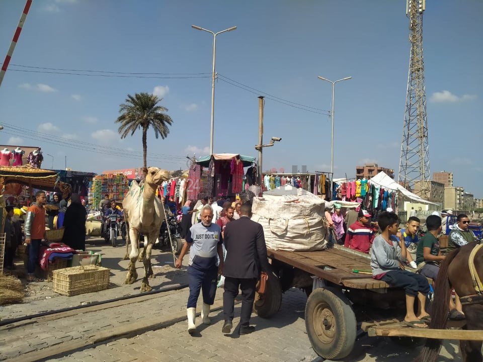 واقعة مزلقان طوخ