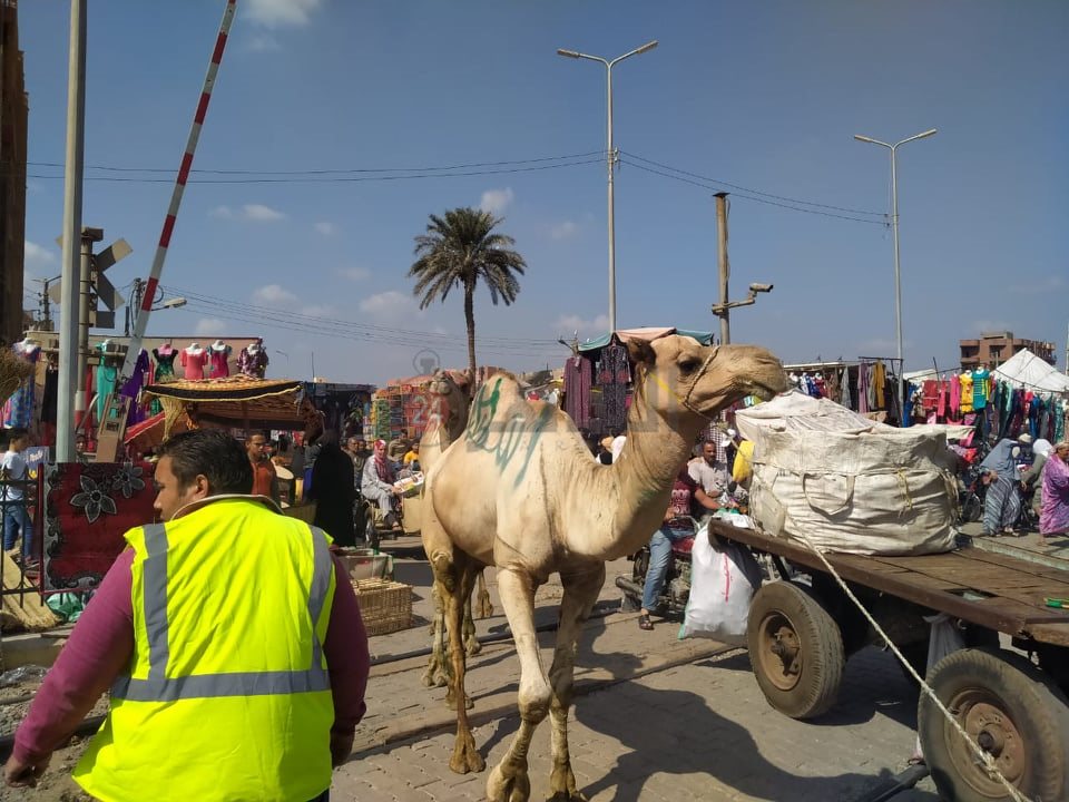 واقعة مزلقان طوخ