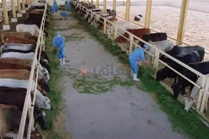 9b5366aa-d3b4-4f30-b96b-07fa723fb9b0