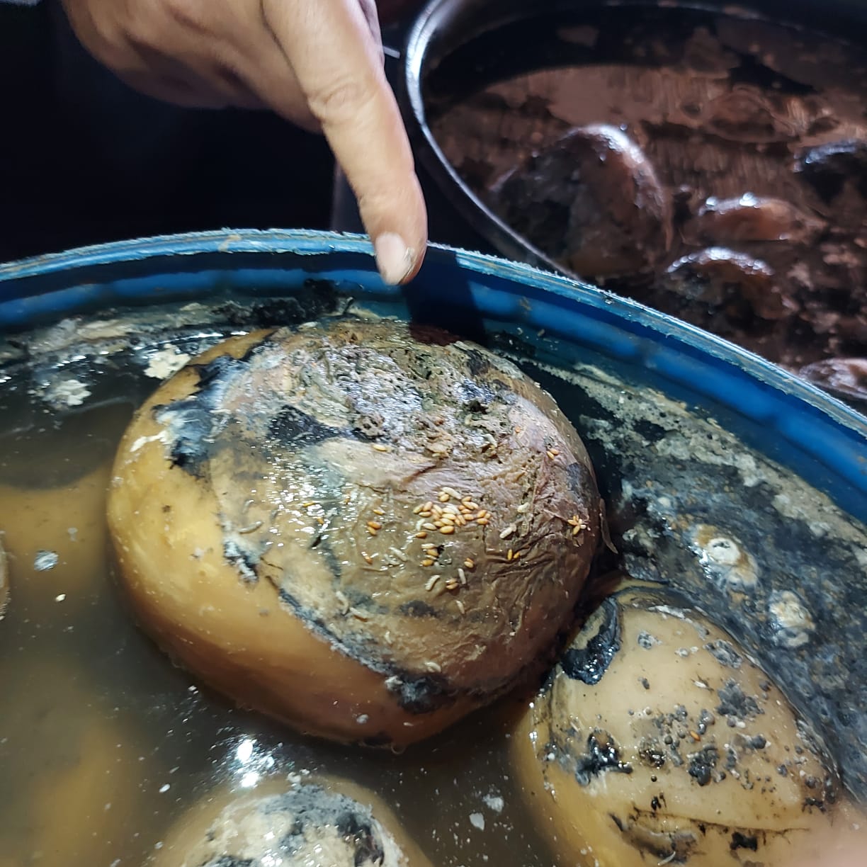 حملة تفتيشية على المنشآت الغذائية بالشرقية 02