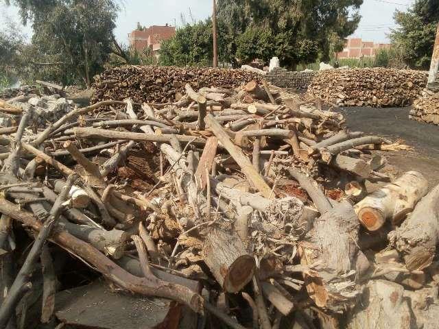 مكامير فحم مخالفة بالشرقية 01