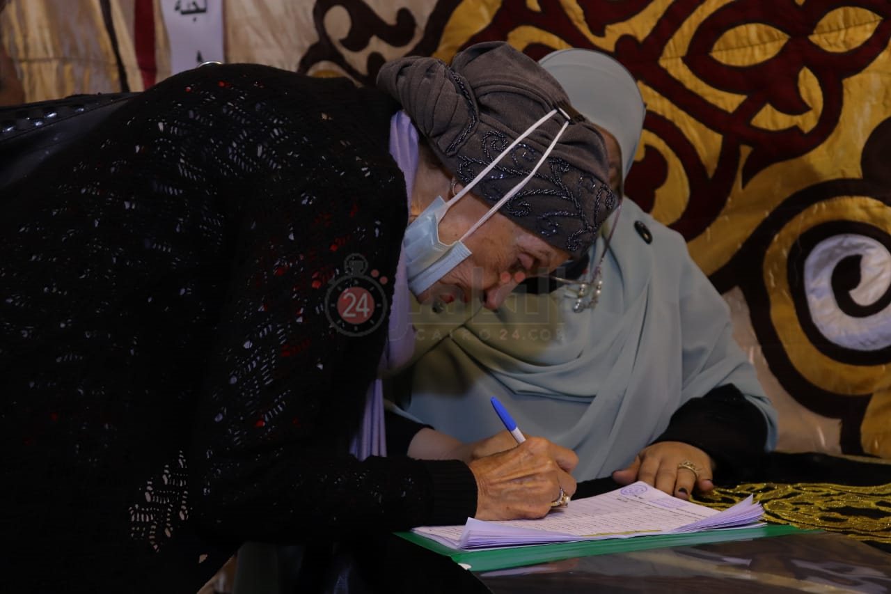 انتخابات نقابة الممثلين (12)