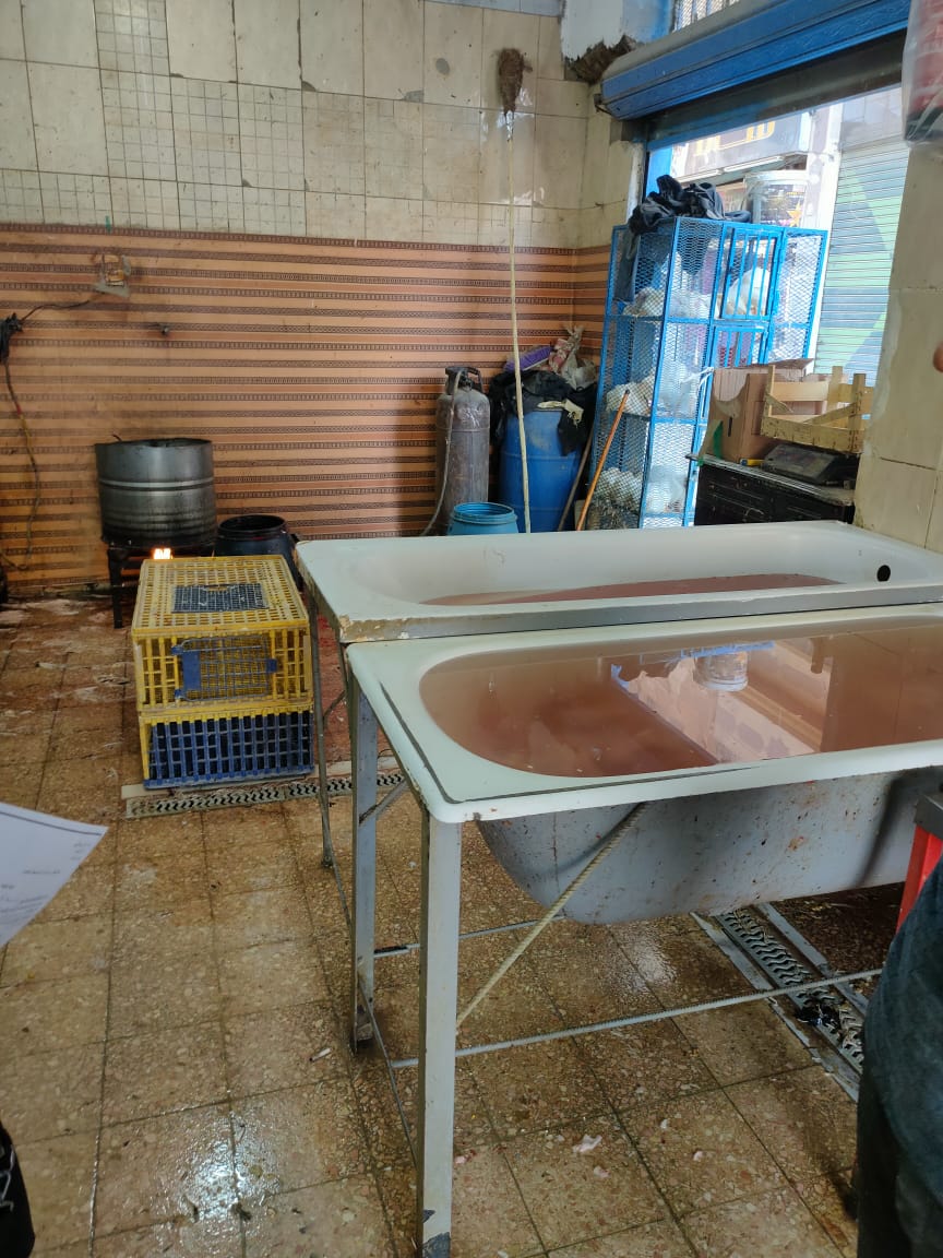 منشآت غذائية مخالفة بالشرقية 01