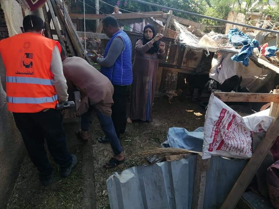 إزالة حظائر طيور بالعاشر من رمضان 02