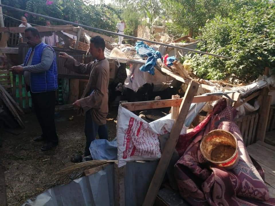 إزالة حظائر طيور بالعاشر من رمضان 01