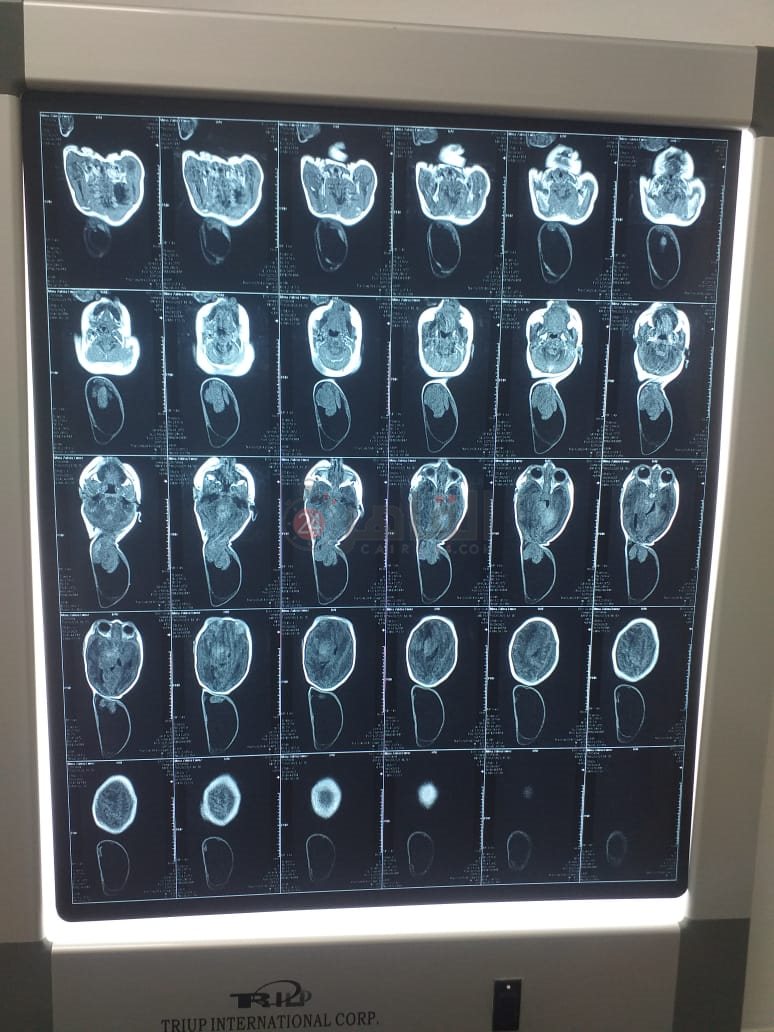 8e966f86-f0fc-4d69-b0f3-6684a50e698e