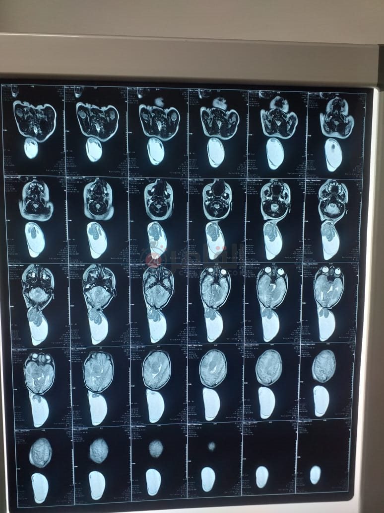 afe08a47-54ed-4fad-b440-7f311d33a93d