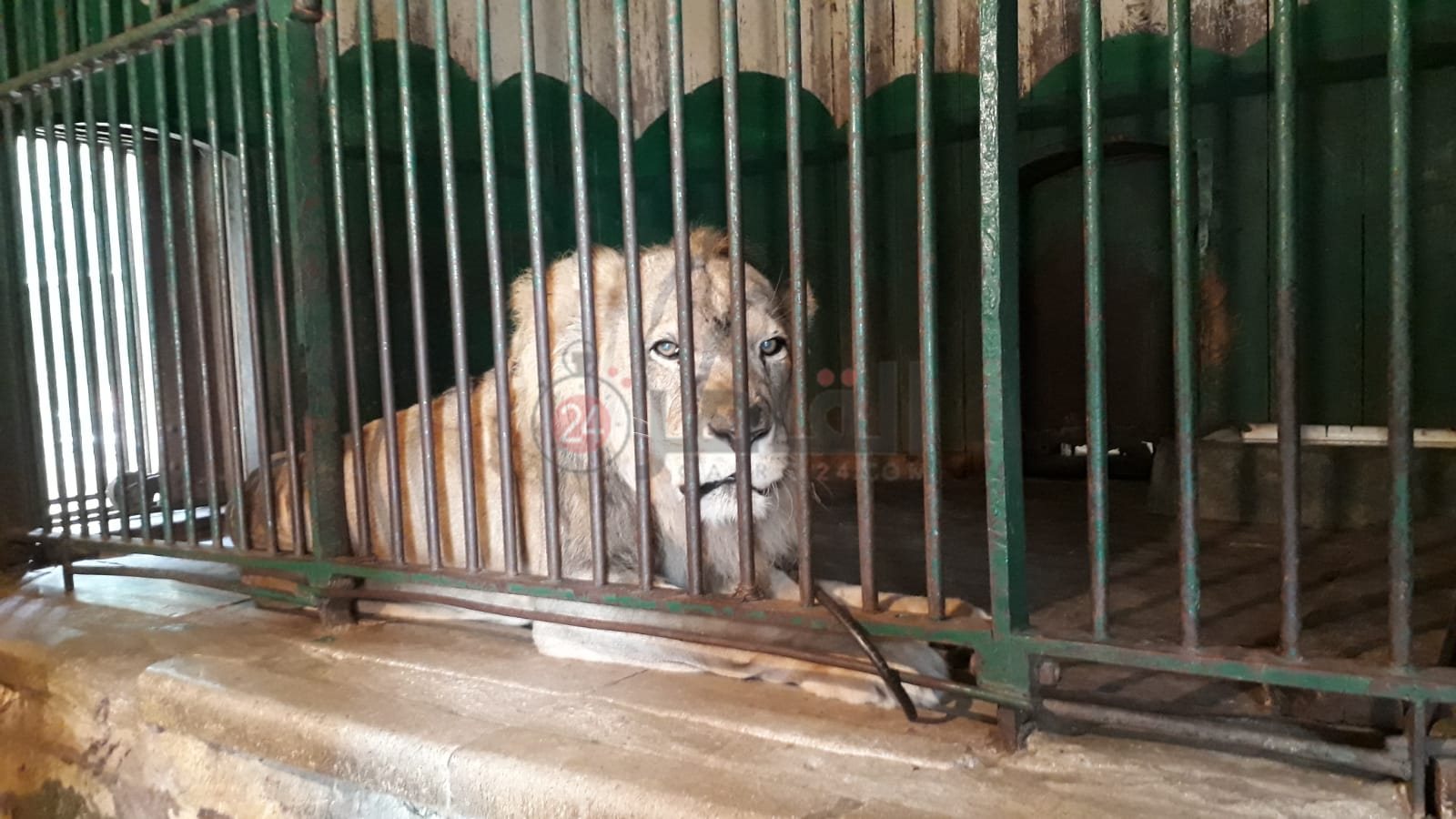 حديقة الحيوان