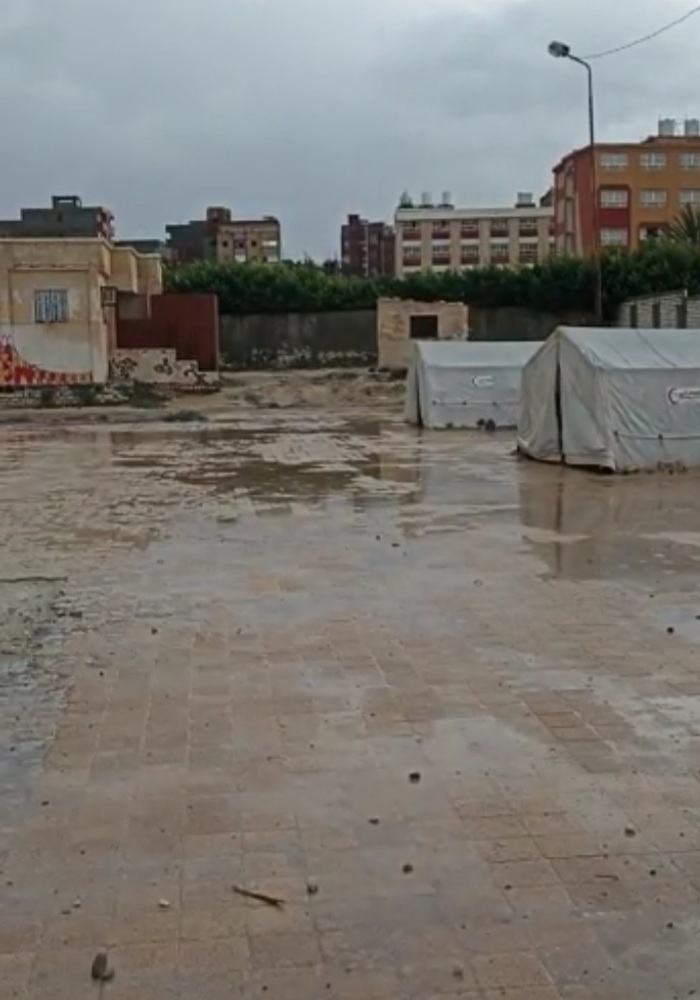 Screenshot_٢٠٢١١١٢٠-١١٤٠٤٩_WhatsApp