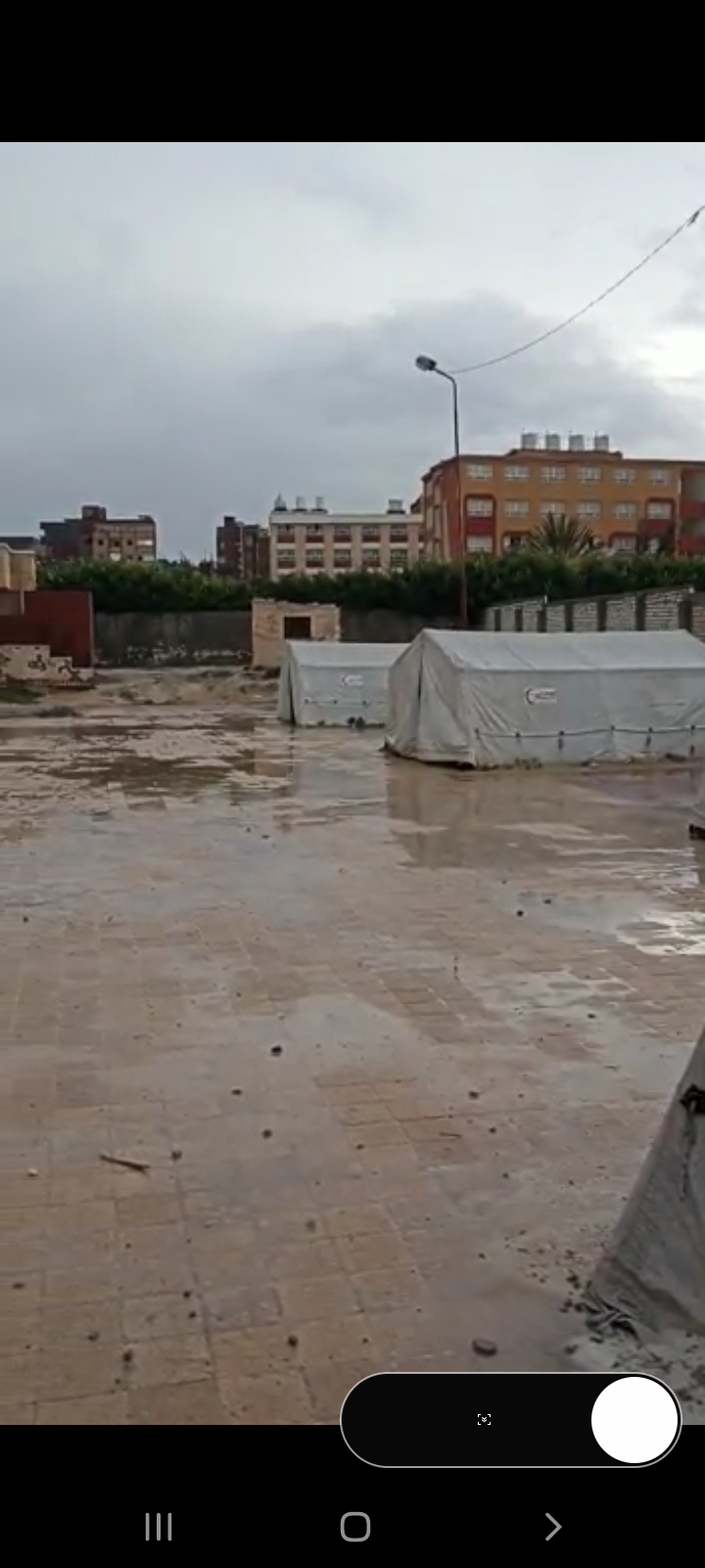 Screenshot_٢٠٢١١١٢٠-١١٤٠٤٧_WhatsApp