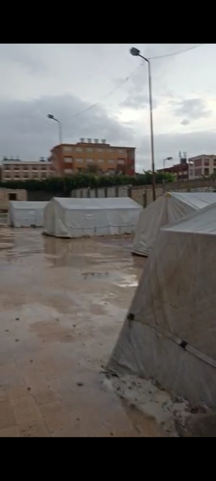 Screenshot_٢٠٢١١١٢٠-١١٤٠٤٦_WhatsApp