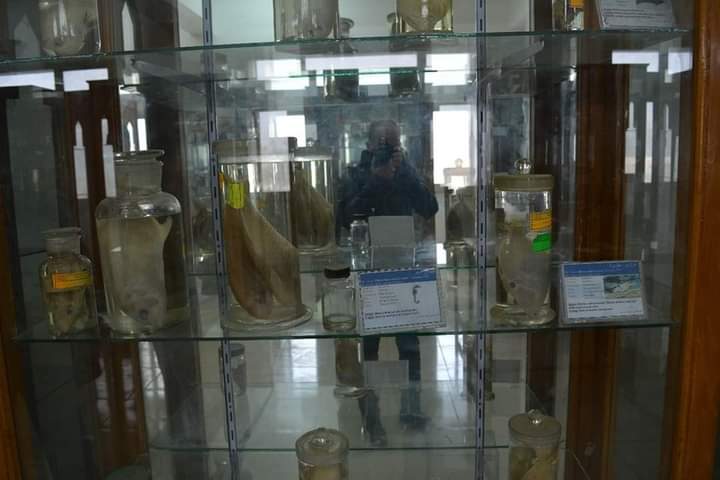 متحف علوم الحيوان بجامعة الأزهر بأسيوط 