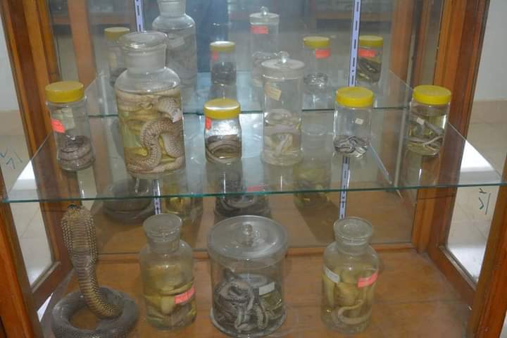 متحف علوم الحيوان بجامعة الأزهر بأسيوط 