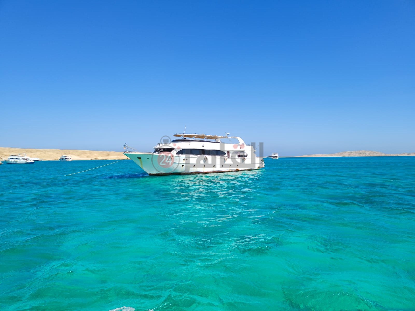 نشاط الرحلات البحرية بمدينة الغردقة