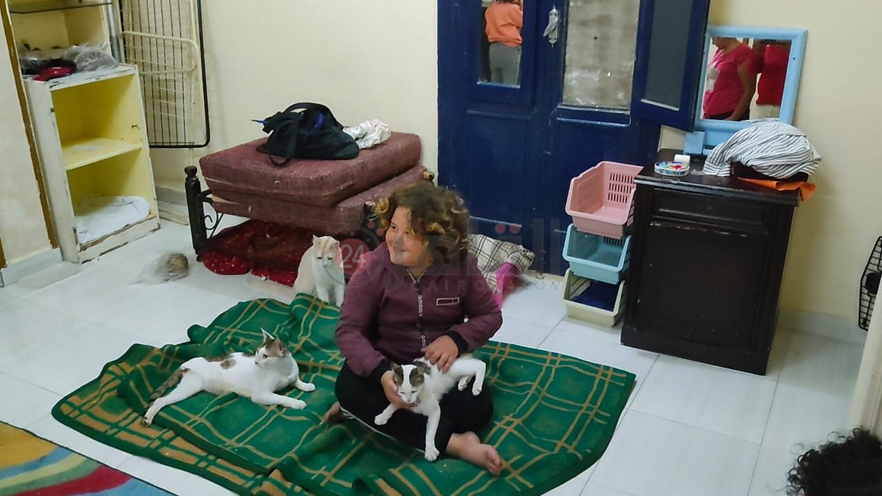 إيمان تجمع القطط الضالة والمصابة بالغردقة 