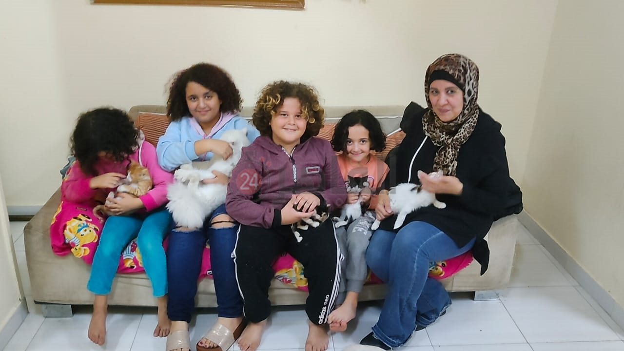 إيمان تجمع القطط الضالة والمصابة بالغردقة 