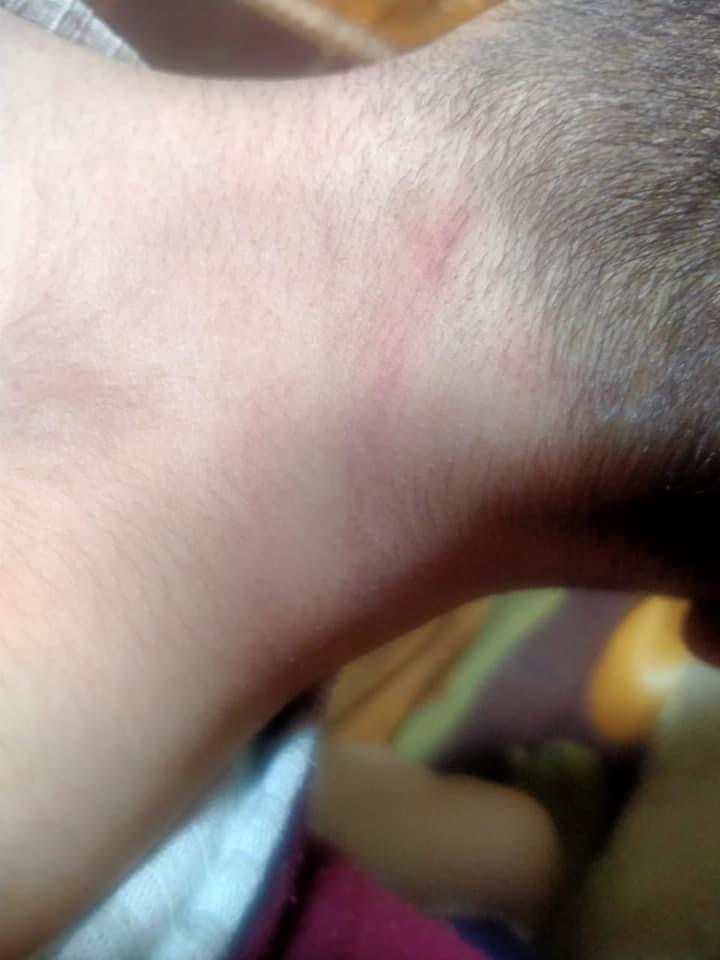 31C28263-7EE4-4098-9FDE-5418CFA1B50E