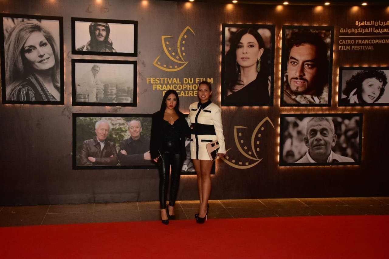 حفل افتتاح الدورة الاولى لمهرجان القاهرة لسينما الفرانكوفونيه (8)