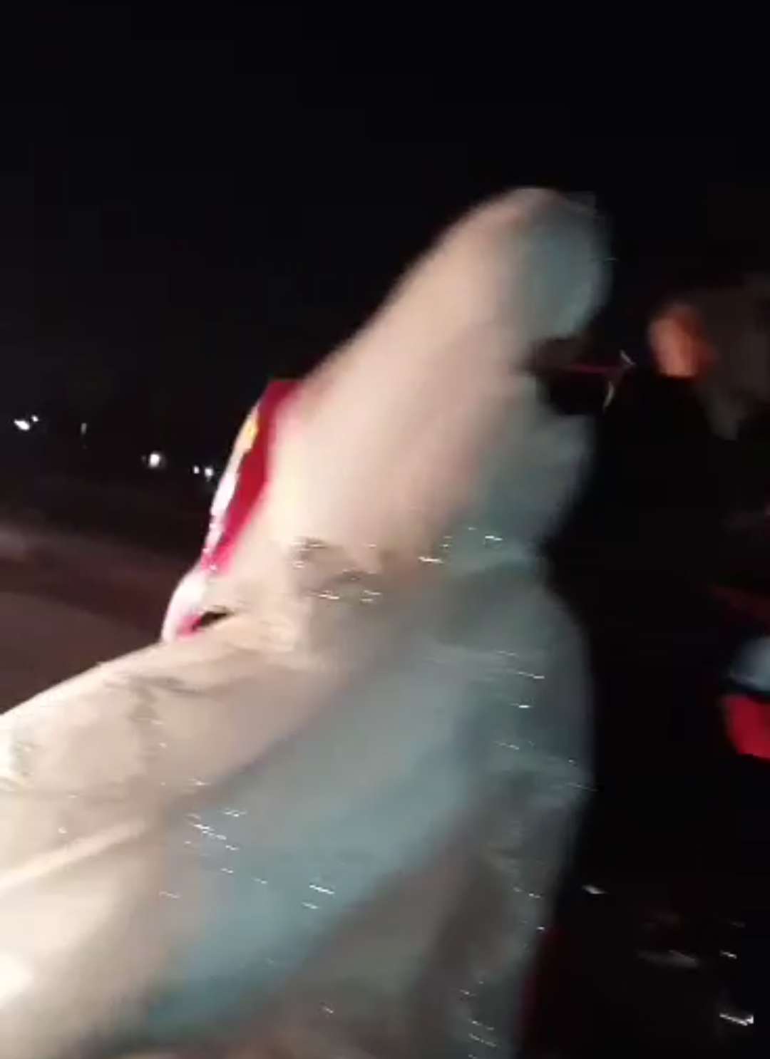 عريس يزف عروسته على موتوسيكل بالفيوم