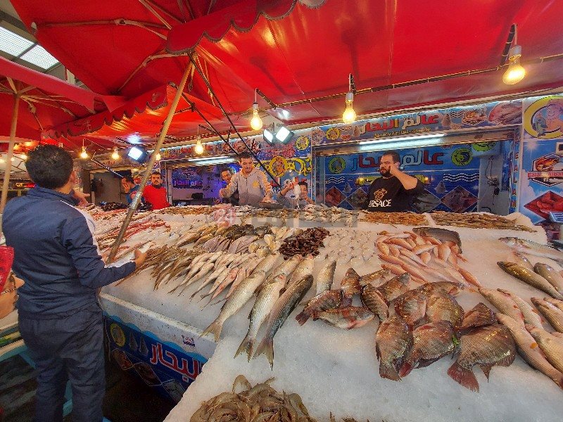 تنوع الأسماك بأسواق بورسعيد 
