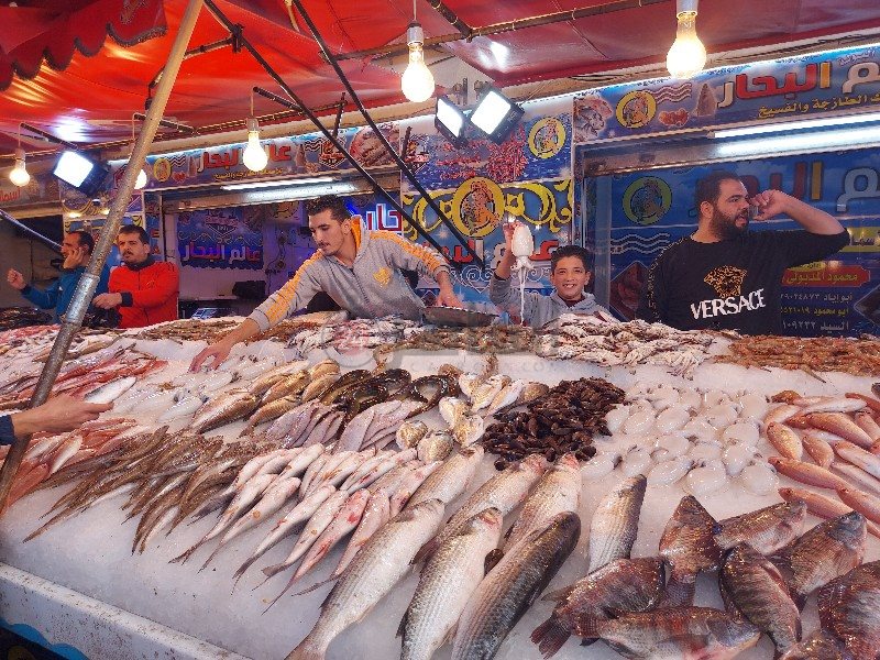 طفل يبيع الأسماك ببورسعيد 