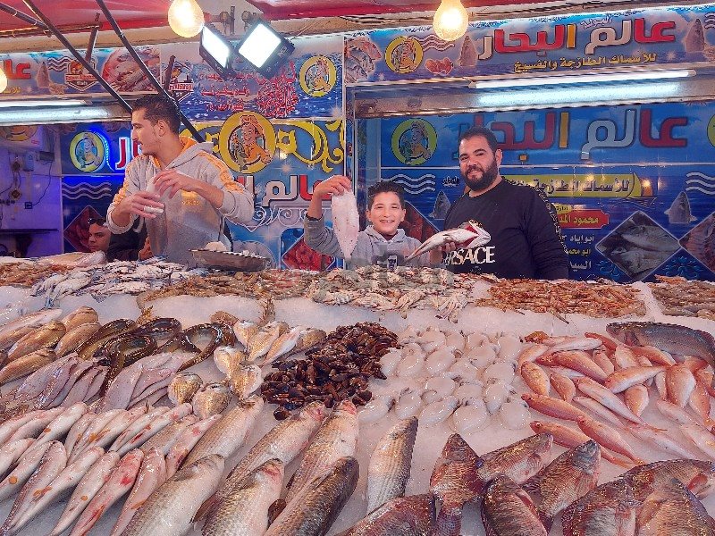 ٢٠٢١١٢١٧_١٤٠٥٢٨_copy_800x600