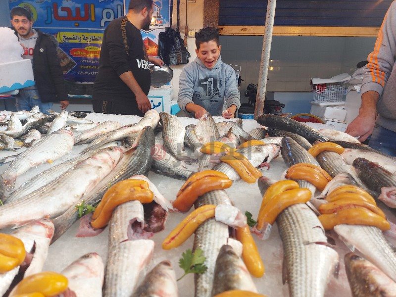 الطفل احمد متبولي 