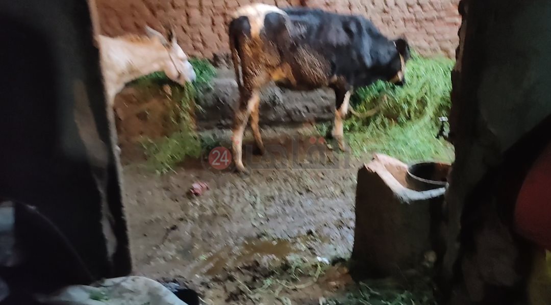 تراكم مياه الصرف الصحي داخل المنازل 03