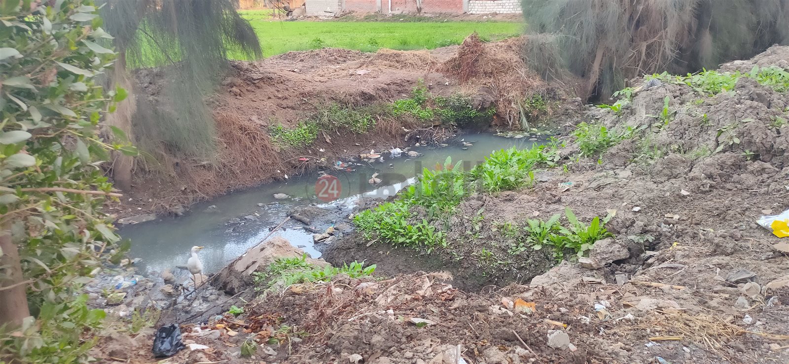 تحويل الصرف الصحي لمياه الترعة 05