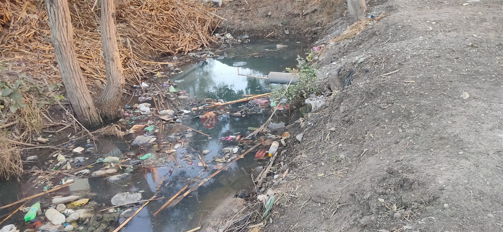 تحويل الصرف الصحي لمياه الترعة 01