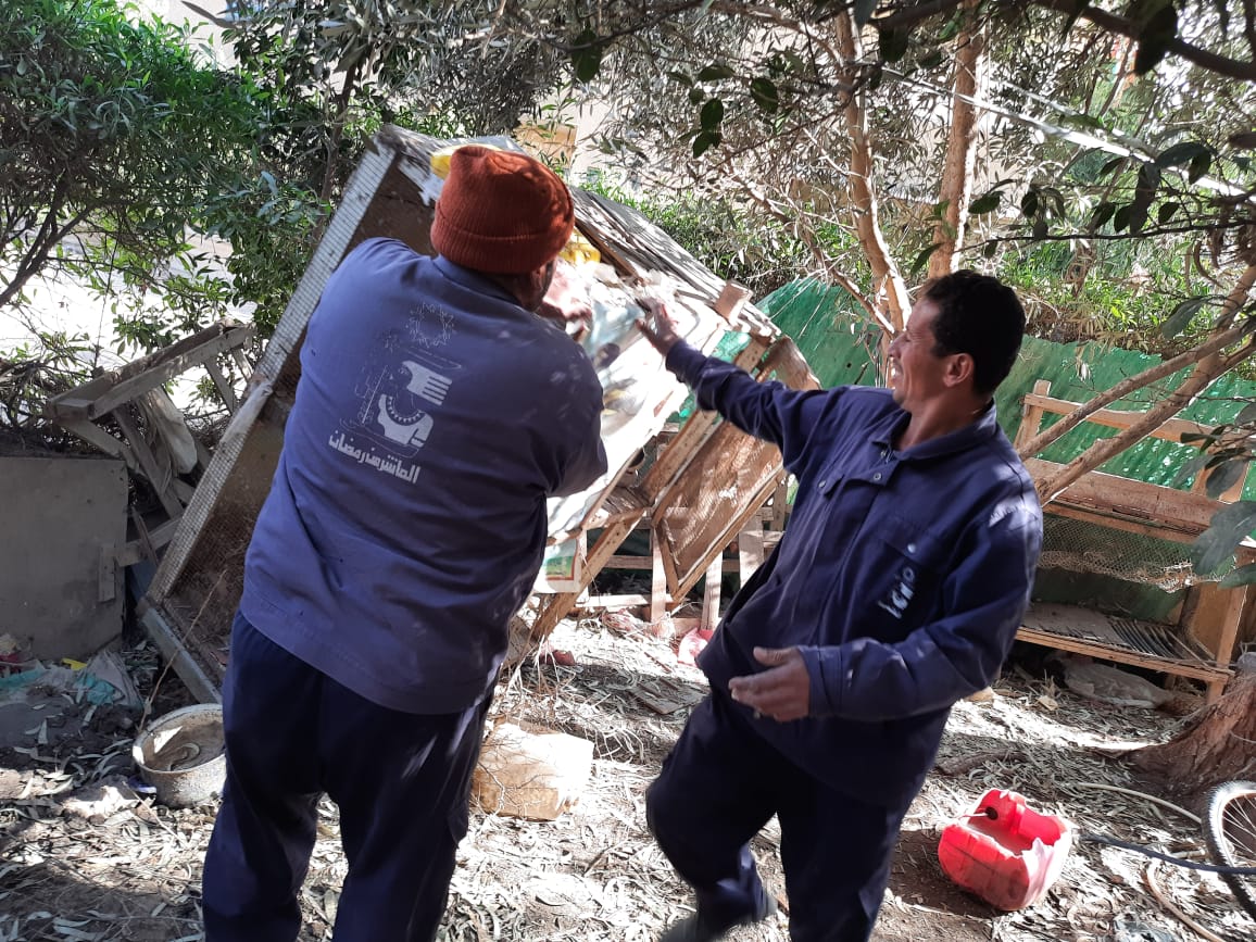 حملة لإزالة حظائر الطيور بالعاشر من رمضان 03