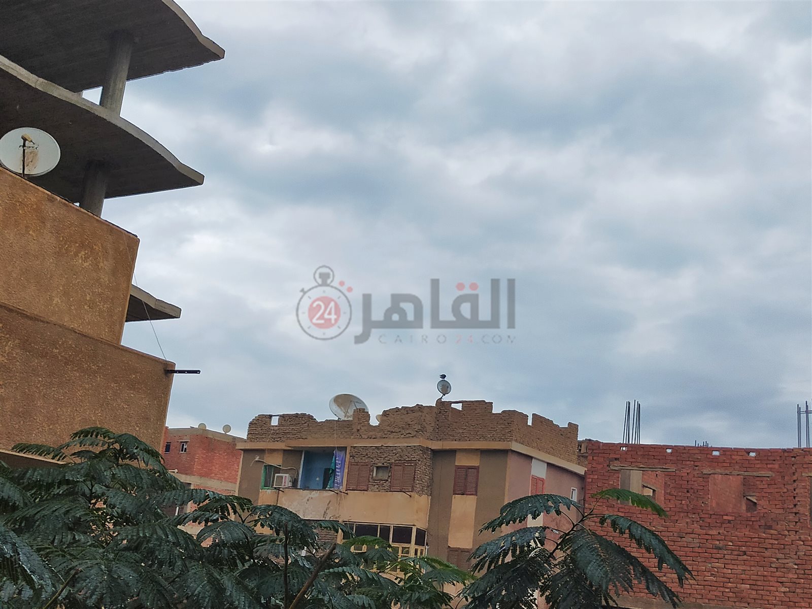 أمطار متوسطة في الفيوم