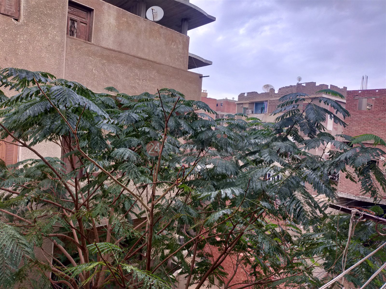 طقس الفيوم اليوم