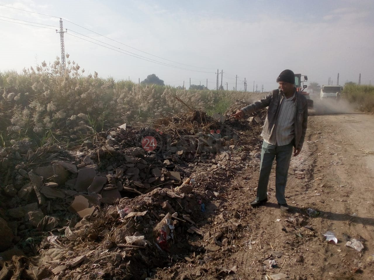 رفع الحيوانات النافقة بمنطقة قطار الديكوفيل بالأقصر