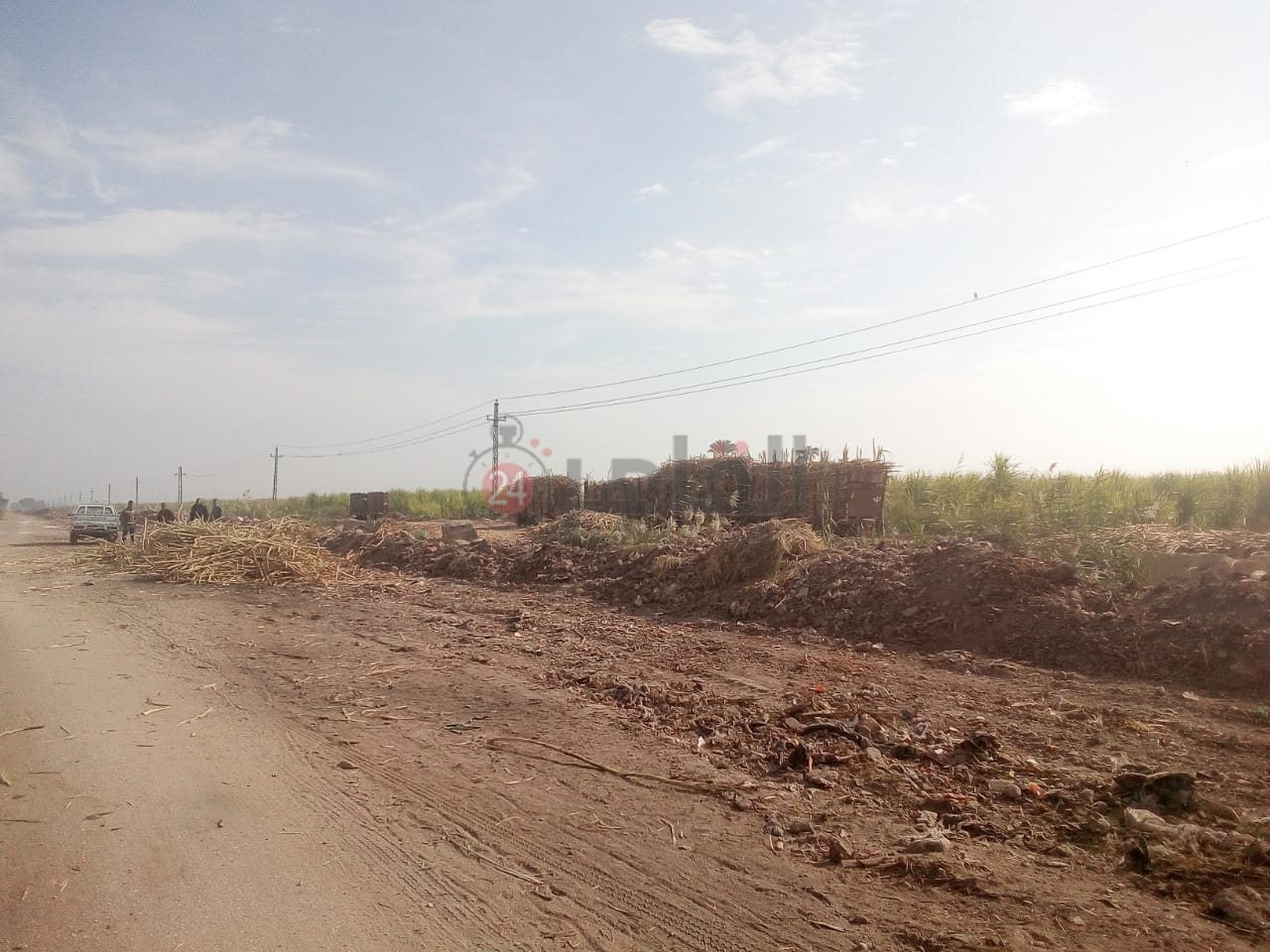 رفع الحيوانات النافقة بمنطقة قطار الديكوفيل بالأقصر