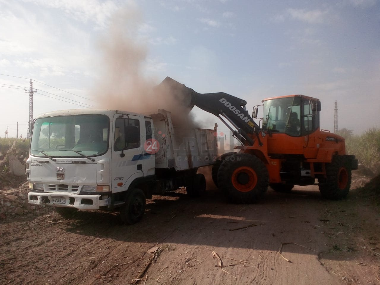 رفع الحيوانات النافقة بمنطقة قطار الديكوفيل بالأقصر