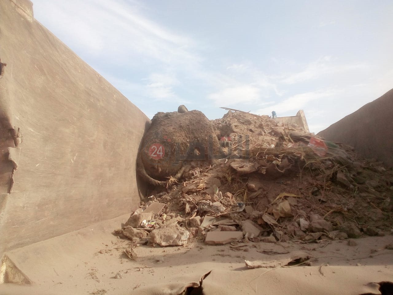 رفع الحيوانات النافقة بمنطقة قطار الديكوفيل بالأقصر