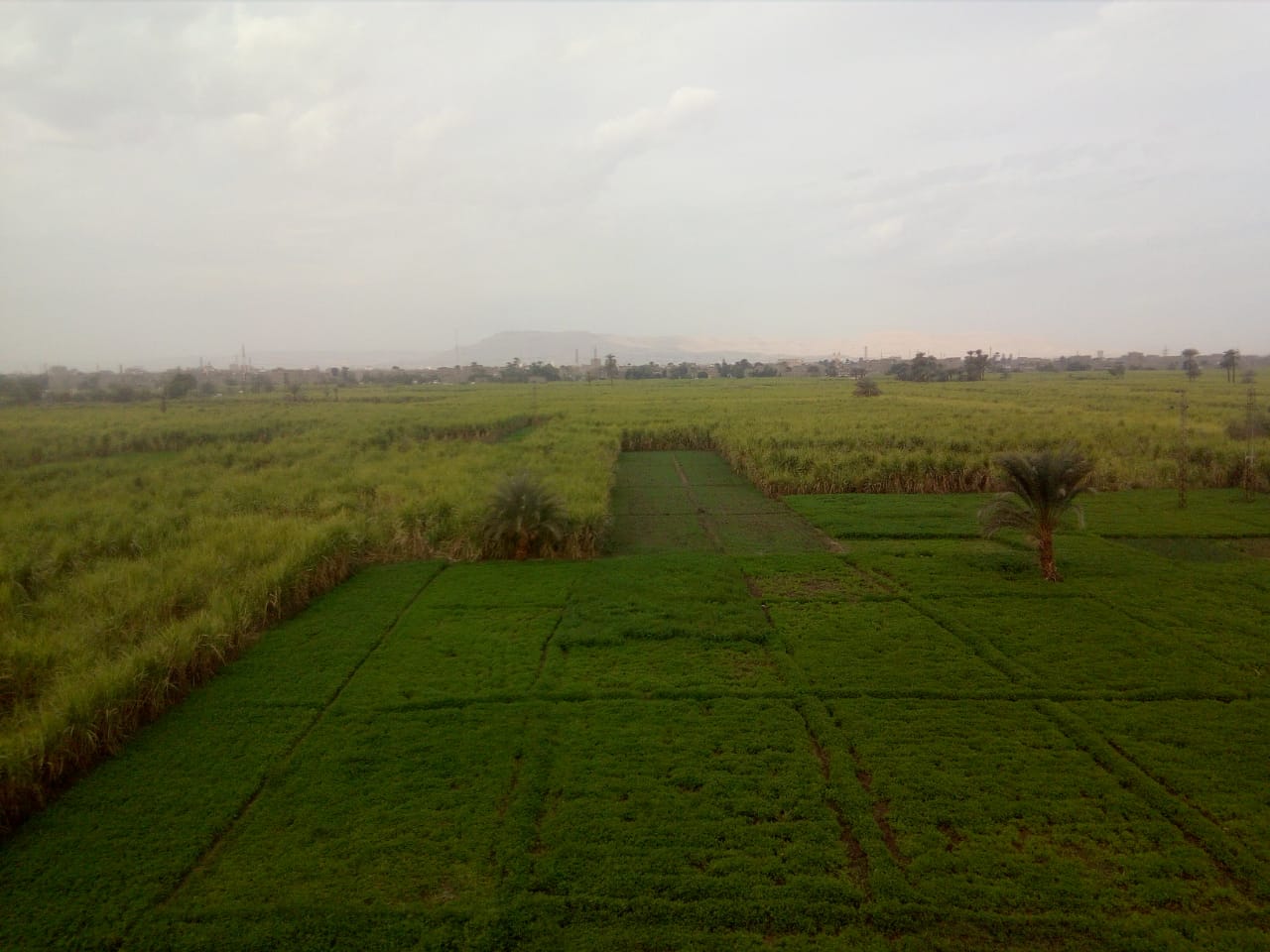 محافظة الأقصر