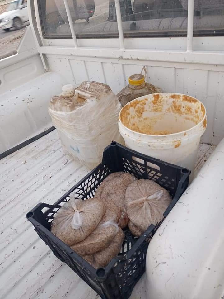 FB_IMG_1642006276040