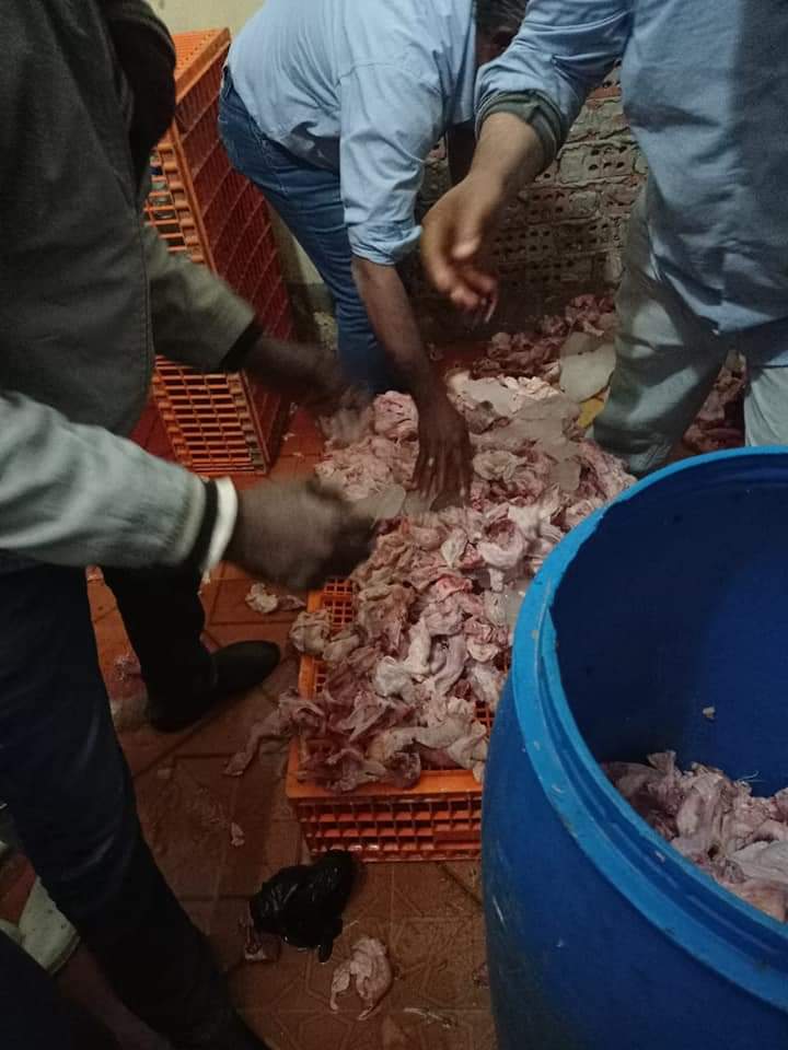 FB_IMG_1642006271378