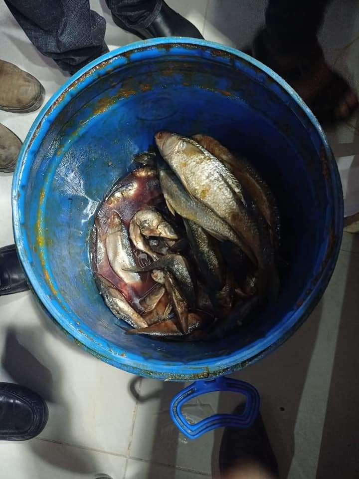 FB_IMG_1642006259386