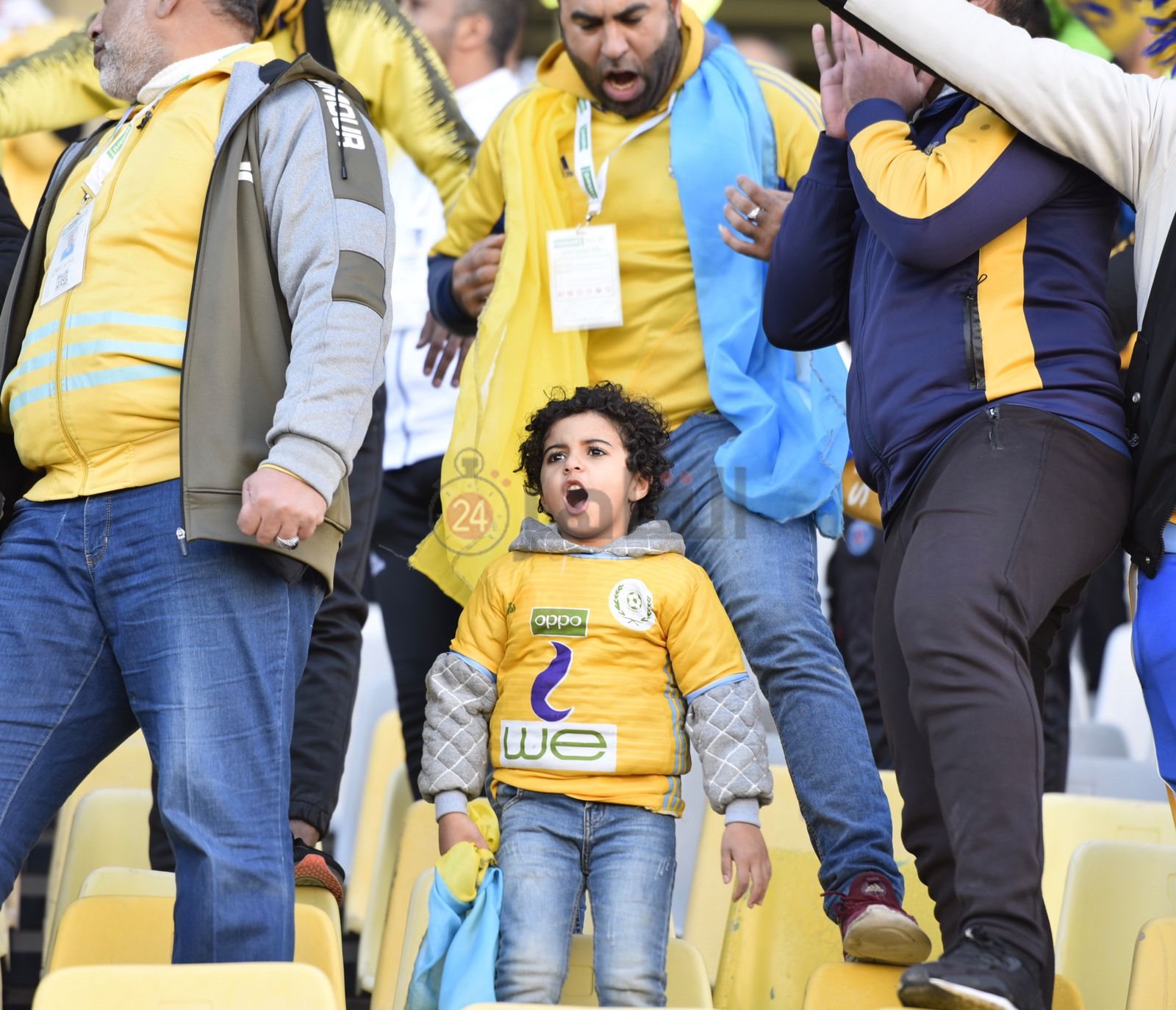 جماهير الإسماعيلي